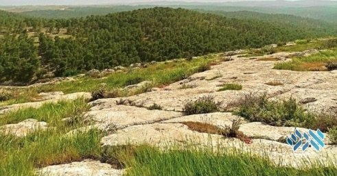 A New Chabad Village