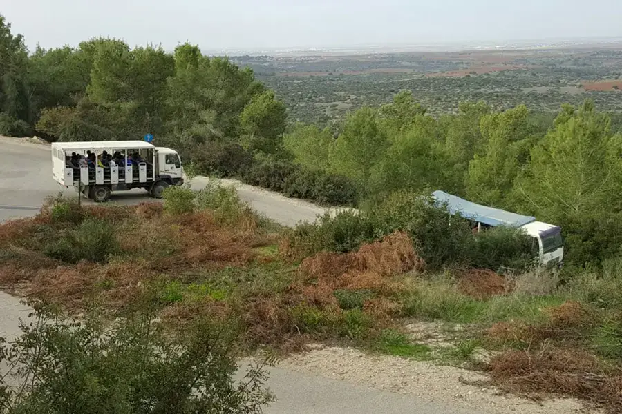 Jeeping